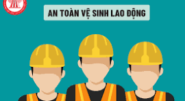 Thành thạo Kiến thức chung về An toàn Vệ sinh Lao động